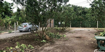 Cơn sốt mua đất vào dịp cuối năm đang cao trào, tấc đất tấc vàng