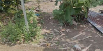 Hiện đang ra gấp 1 nền tại Phường Bảo Vinh,Long Khánh