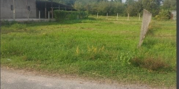 Chính chủ cần bán mặt tiền đường nhựa Phường Xuân Tân Tp  Long Khánh.