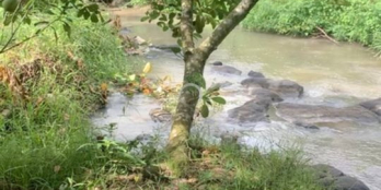 Diện tích 1 mẫu đất view Suối,  ấp cây da, xã Bình Lộc.