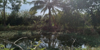 1 sào Bảo quang. Khu dân cư đông.