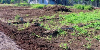 Kẹt tiền Em cần ra gấp lô đất Bảo Vinh sổ hồng có sẵn.