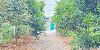 “MUA 1 ĐƯỢC 3” ĐẤT MẶT TIỀN ĐƯỜNG NHỰA, CÓ SẴN NHÀ YẾN VÀ THỔ CƯ, DT 530.8M2, BÀ