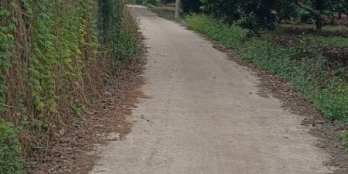 Cần bán nhanh lô đất trong tuần giá rẻ.