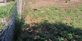 Đất Bình Lộc tpLK full thổ cư sổ riêng giá 930trieu nguyên lô nha