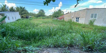 BÁN GẤP ĐẤT VƯỜN SIÊU ĐẸP NỞ HẬU TẠI MỸ AN- MANG THÍT