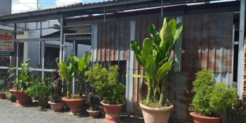 Trước đường lô nhưa. Xe ôtô tới đất