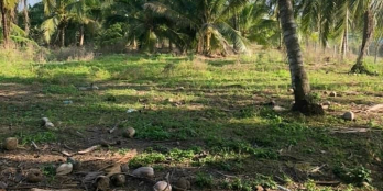 Bán nền đất thuộc xã Bình Phước, Mang Thít. Khu vực số 6.