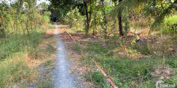 Chính Chủ Cần Bán Gấp Lô Đất Đẹp Tại Xã Chánh Hội, Huyện Mang Thít, Vĩnh Long