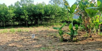 Bán nhanh lô đất thuộc Yên Ninh - Phú Lương,