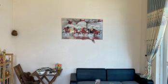 Kẹt tiền cần bán gấp nhà cây thông trong