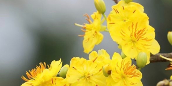 Căn nhà đặc biệt Nguyễn Thái Bình - P12 - Tân Bình