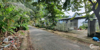 Bán nhà chính chủ đường Trần Hửu Độ