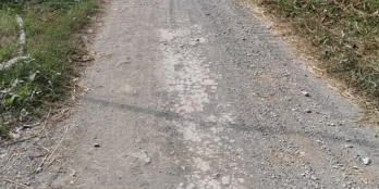 Bán 5.6 công vườn sầu riêng xã Long Phú - Tam Bình - Vĩnh Long: