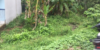 Diện tích: 274,3 m2 Đất đã full thổ