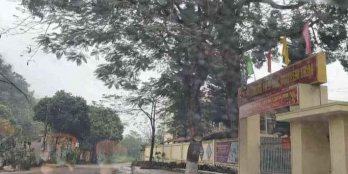 Cần bán lô đất cạnh trường tiểu học Nguyễn Trãi