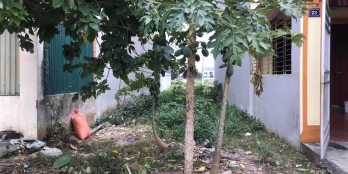 CHÍNH CHỦ BÁN ĐẤT NINH TIẾN 4 - Sổ đỏ chính chủ, bán gấp.