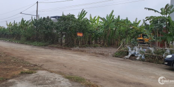 Cần bán GẤP Đất mặt đường đôi Lưu Cơ - Quảng trường 2 Ninh Bình để TRẢ NỢ