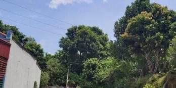 Lô đất sau ubnd tân lập cách đuong 3/2 150m