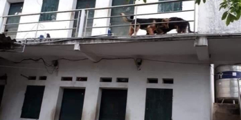 Bán đất thổ cư, phường phú xá tp thái nguyên