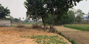 Cần bán Nhanh lô đất 312m gần chợ Cam Giá.