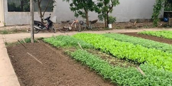 Thanh khoản nhanh Bán lô đất 2 mặt tiền  rất mới cực đẹp