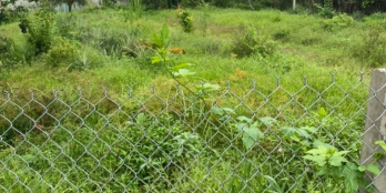 ền Tân Hoà 450tr  đường đan 2m sắp làm lộ nhựa 4m