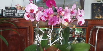 BÁN NHÀ CÒN MỚI ĐẸP CÁCH ĐƯỜNG TIẾN THÀNH 50 M, Ô TÔ TỚI NHÀ