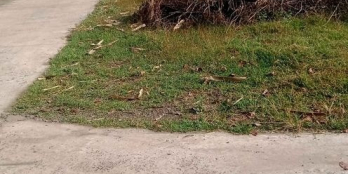 Bán miếng đất thổ cư  hết đất ngang 5 dài 20 mét