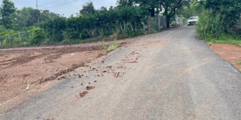 Siêu phẩm Hưng Thịnh Trang Bom. Chủ gửi bán gấp.