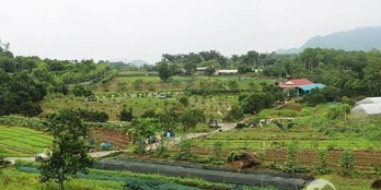 Chính chủ cần bán lô đất với diện tích 200m2 chỉ có giá 20tr/m2