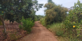 Xã Bình lợi, vĩnh cửu, đồng nai. Cần bán lô đất sổ chung ngang 5* 38