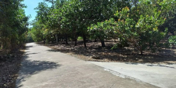 Chủ gởi lô suối Cao 5sào7 có 54mMT