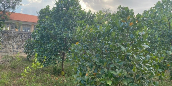 Cần bán 2 sào 7 Xuân Hiệp  Đất phủ Hồng toàn bộ