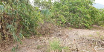 Dành cho khách thích hợp chăn nuôi. Làm vườn, nghĩ dưỡng...