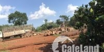 Bán đất có nhà chính chủ, Bù Đăng, Bình Phước