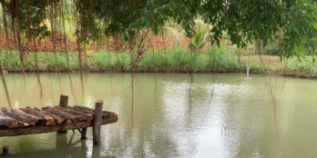 cần sang nhượng lại căn nhà vườn tâm huyết SIÊU PHẨM NHÀ VƯỜN 1ha7