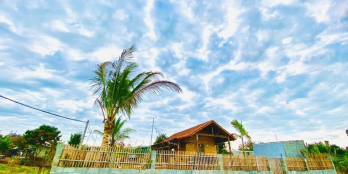 Kẹt tiền nên bán nhà vườn đang Hoàn thiện,  nhà vườn view ruộng