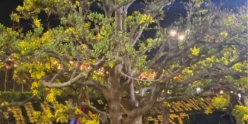 VỊ TRÍ : Nhà nằm ở cạnh đường Y wang 100 m. Đường ô tô tải ne nhau.