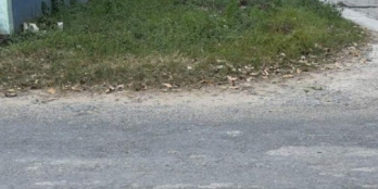 Bán đất 2 mặt tiền đường Trần Thị Thơm