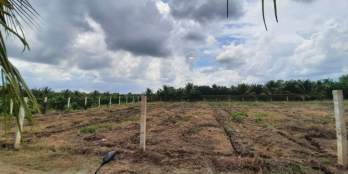 Đất mặt tiền đường Võ Văn Cứ thuộc Ấp Bình Hòa A xã Song Bình Chợ Gạo