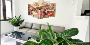 Bán căn nhà 3 tầng khu Làng Công An. Bãi muối