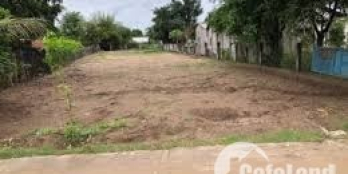 Cần bán 1000m2 Giá 2.5 tỷ Sổ Hồng Riêng đườngTân Thới Nhì 9