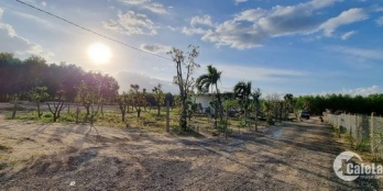 Mở bán nhà vườn Khánh Đông diện tích hơn 2500m2 (quy hoạch CLN)