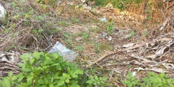 Bán đất bình phong tân mỹ chánh giá tốt