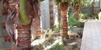 Chị chủ kẹt tiền cần Bán căn Nhà Vườn