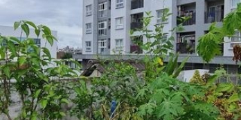 Hẻm Xe Hơi Nguyễn Quý Anh, Tân Sơn Nhì, Tân Phú