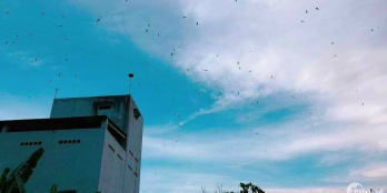 Chính chủ bán nhà đất Xuân Lộc, Đồng Nai, Dt 5000m2, doanh thu 3 tỷ/năm