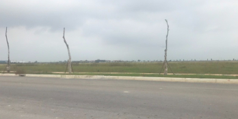 Bán lô đất 5000m2 KCN Thuận Thành 3, bàn giao đất quý I/2022, ký HĐ trực tiếp CĐ