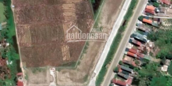 Cần bán lô đất đấu giá DT 125m2 mặt chính đường Quốc lộ 38 tại thôn La Mát